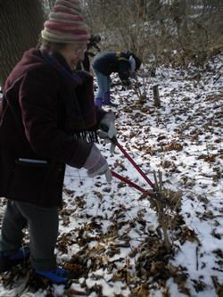 January Events with Natural Area Preservation