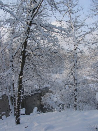 The Beauty of Winter by Dea Knopf 2008 PhotoContest.jpg