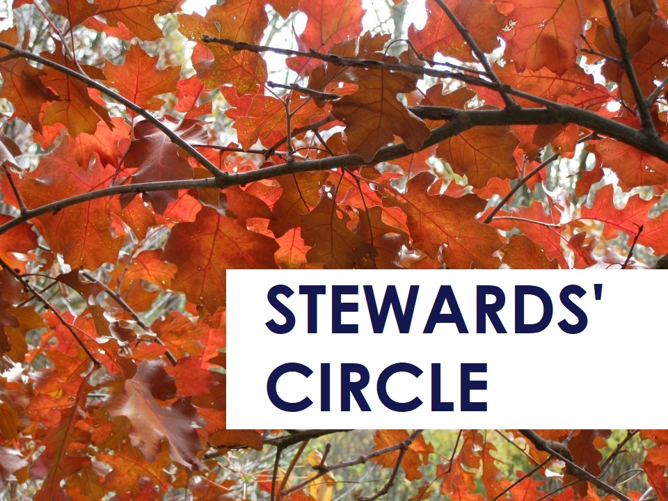 stewards circle banner fall.jpg