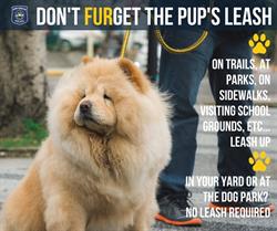 Ann Arbor dog leash law image