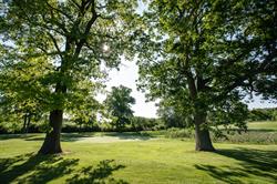 Wetland Creation and Creek Restoration Project Slated to Begin at Huron Hills Golf Course