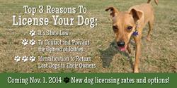 New Dog Licensing Options Take Effect Nov. 1, 2014