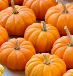 Halloween Trick-or-Treat Times, Safety and Tips