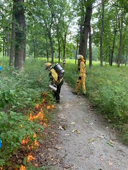 Natural Area Preservation Autumn Controlled Ecological Burn Season to Begin Aug. 1