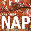 Join Ann Arbor NAP for November Events