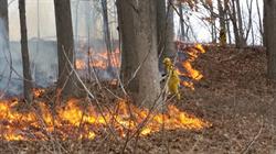 Natural Area Preservation Spring Controlled Ecological Burn Season to Begin Feb. 19