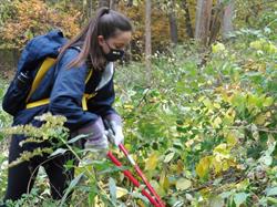 December Events with Natural Area Preservation