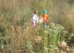 October Events with Natural Area Preservation