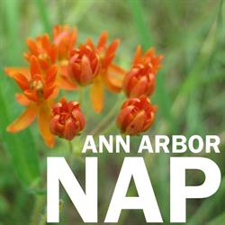 Natural Area Preservation Workdays and Events in April