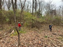 Natural Area Preservation Workdays and Events in January
