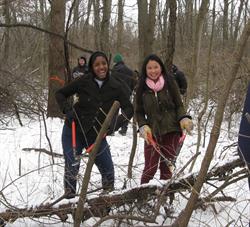 Join Ann Arbor NAP for World Soil Day & More in December