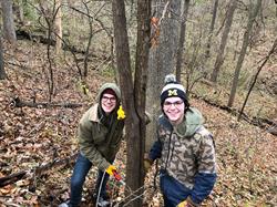Natural Area Preservation Workdays and Events in December