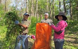 Natural Area Preservation Workdays and Events in July