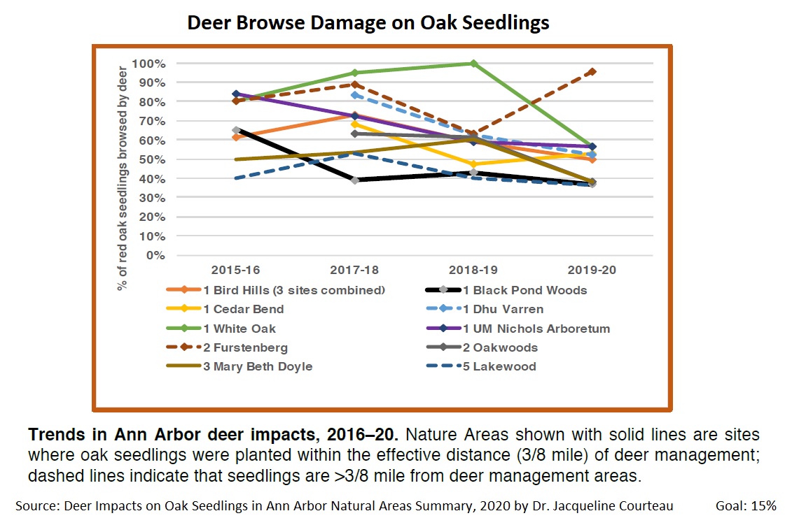 Deer Browse Damage on Oaks 2020.jpg
