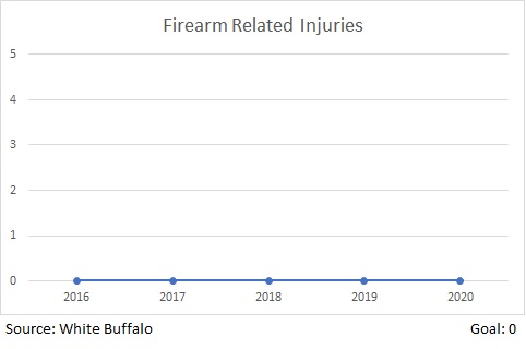 Firearm Injuries.jpg