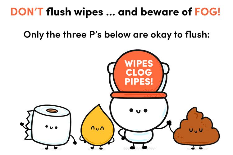 3 P's for don't flush campaign 2024.jpg