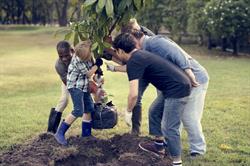 ​The Dean Fund seeking tree-loving members