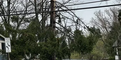 Tree trunk snapped and broken over power lines in Ann Arbor after an EF-1 tornado