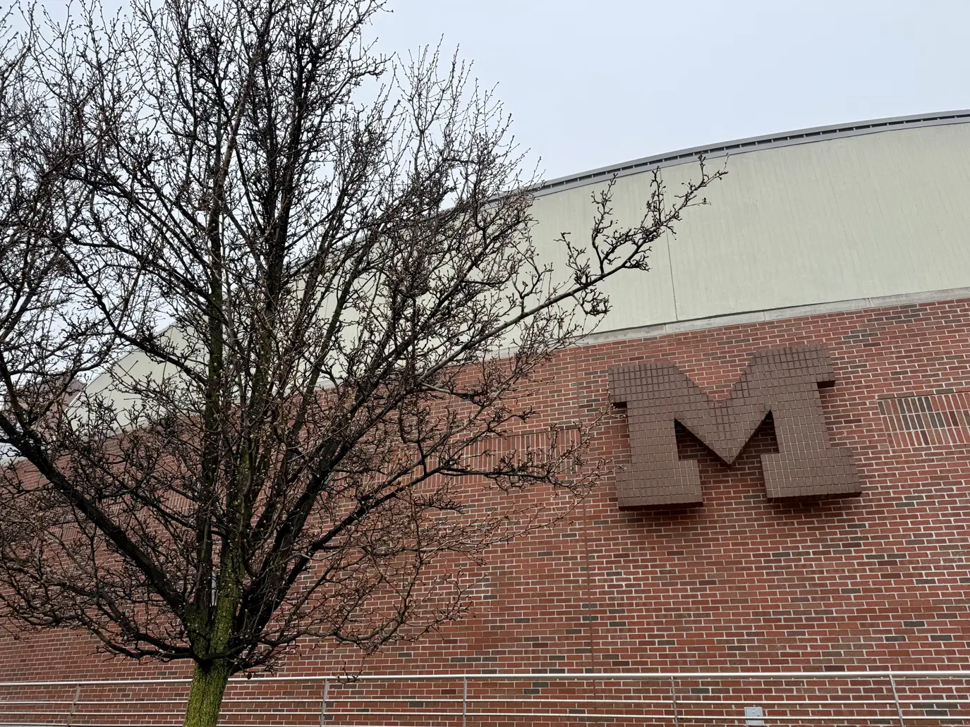 Closeup of brick exterior of University of Michigan Crisler Arena with the university's Block M logo on the wall and a tree in the foreground