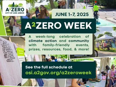 A 2 zero week