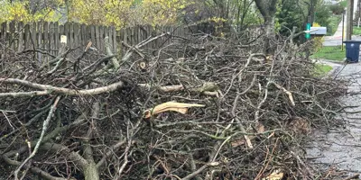 Pile of tree limbs and branches brought down during severe weather at the curb in Ann Arbor April 15, 2026