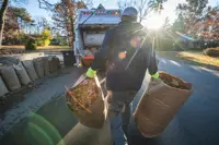 A municipal worker carries a paper yard waste bag full of leaves one in each hand toward a collection truck parked on a residential street