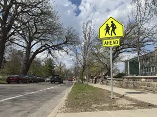 Tree-lined street with a bike lane and a yellow pedestrian crosswalk ahead sign on the right side of the street and a blue sky above
