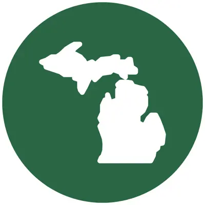 A green icon depicting the state of Michigan.