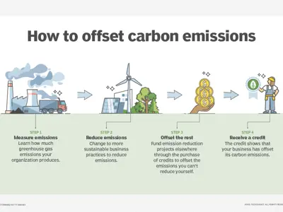Graphic displaying the steps to offsetting carbon emissions