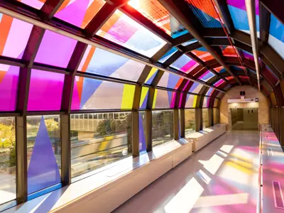 Corridor of Colors 2025 Golden Paintbrush award winning project image