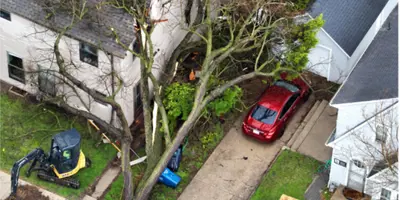 Fallen tree on Ann Arbor home with city equipment doing cleanup in foreground