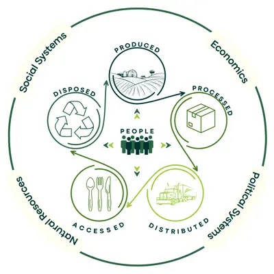 A graphic depiction of the food system in the shape of a circular flow chart. Each step in the flow chart represents one aspect of the food system - produced, processed, distributed, accessed, disposed. The center elements are surrounded by another circle containing the words "social systems, economics, political systems, natural resources" to imply that these systems affect each aspect of the food system.