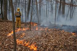 Natural Area Preservation Fall Controlled Ecological Burn Season to Begin Oct. 12